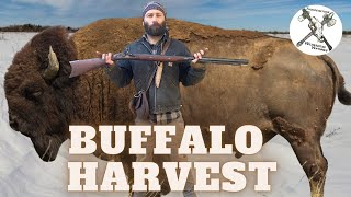 Flintlock Bison Harvest in Wyoming [upl. by Nelhsa]