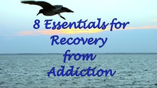 8 Essentials for Recovery from Addiction [upl. by Katerina]