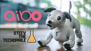 NEW Sony Aibo Robot Dog Unboxing [upl. by Annua]