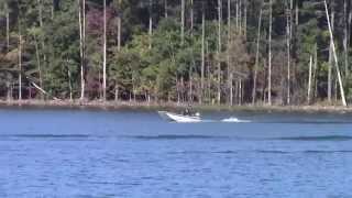 99 Carolina Skiff J14 Honda 9 9 Four Stroke [upl. by Haynor]