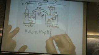 Cell Diagram Examplempg [upl. by Vevina]