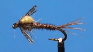 Fly Tying for Beginners a Crackback Sulphur Nymph with Jim Misiura [upl. by Gladys682]