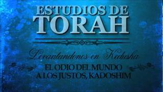 Estudios de Torah 5  Levantandonos en Kedusha  El Odio del Mundo a los Kadoshim [upl. by Malha]