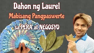 PAMPASWERTENG DAHON NG LAUREL 😍  MABISANG PANGPASWERTE SA NEGOSYO AT PERA [upl. by Eenoj]