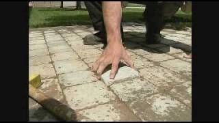 paver stone repair with Envirobond sand [upl. by Xyla]