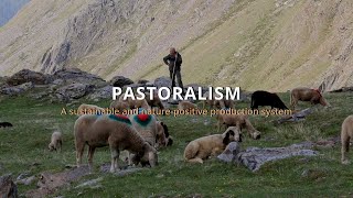 Pastoralism A sustainable and naturepositive production system [upl. by Teirrah]