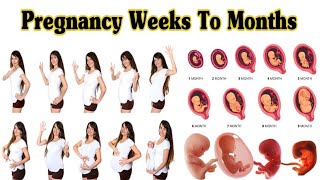 Pregnancy Weeks To Months  1 To 9 Weeks Fetal Developments [upl. by Aynav]