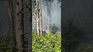 Prescribed burn Full video coming later wildlandfire fire nature work firefighter [upl. by Ferneau]