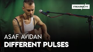 Asaf Avidan  Different Pulses  Le Live [upl. by Haas]