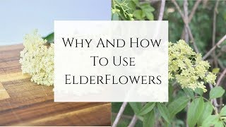 Why and How to use Elderflowers [upl. by Arualana]