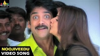 Nenunnanu Songs  Noojiveedu Kellina Video Song  Nagarjuna Aarti Shriya  Sri Balaji Video [upl. by Farika]