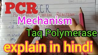 L 6PCR  Polymerase Chain Reaction explained  class 12 biology chapter 11 biotechnology in hindi [upl. by Ihcehcu76]