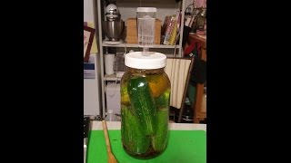 Fermentation of Cucumbers Quick Tip [upl. by Norved]