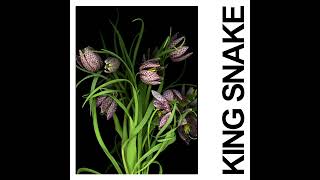 IDLES  KING SNAKE Official Audio [upl. by Mosnar767]