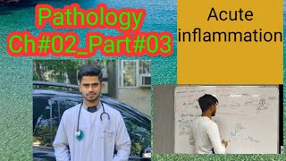 ACUTE INFLAMMATION34PathologyCh02Part03 [upl. by Isyak87]