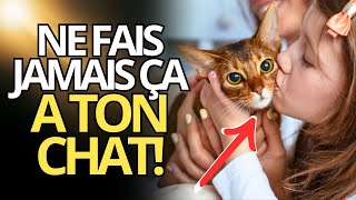 13 CHOSES À NE PAS FAIRE À VOTRE CHAT 😾 [upl. by Sinnaoi764]