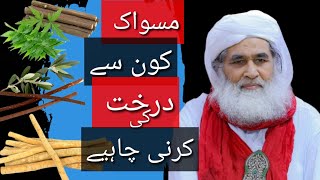 miswak kis darakht ki sunnat hai  ameer ahle sunnat ka bayan miswak trending [upl. by Kory]