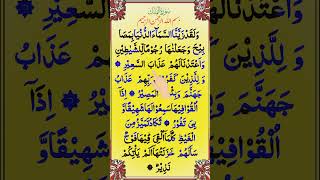 تلاوت قرآن سورۃ الملك  Sorat Al Molkrecitation of Quran sjorts silentbeach [upl. by Akiehs]