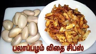 Jackfruit Seed Chips in Tamil  Spicy Chips in Tamil  பலாப்பழம் விதை சிப்ஸ் Palapala kotttai chips [upl. by Yremrej]