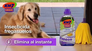 KH7 DESIC INSECTICIDA FREGASUELOS [upl. by Kendry638]