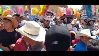 Chinelos Atlatlahucan Morelos 2024 [upl. by Xever994]