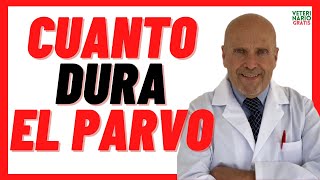 ⏰ Cuanto tiempo dura el PARVOVIRUS en un perro CACHORRO ⏰ Cuanto dura un perro con PARVOVIRUS CANINO [upl. by Nalat]