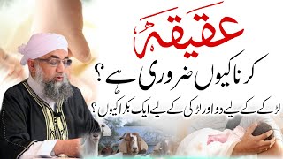 Aqeeqa karna kyun zaroori hai Larky aur Larki ke Aqeeqa main farq kyun Shaykh Abdul RaheemUK [upl. by Abebi]