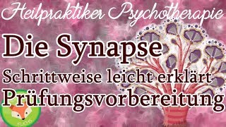 Heilpraktiker Psychotherapie SYNAPSEN Nervensystem  wo Psychopharmaka wirken  für die Prüfung [upl. by Hamer166]