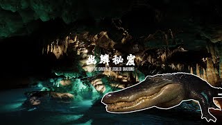 Planet Zoo  Cryptic Cavern of Scaled Shadows 幽鳞秘窟  动物园之星  Alligators and Armadillos 美国短吻鳄和犰狳 [upl. by Gardas]