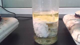 High concentration silver nitrate and Hydrochloric acid [upl. by Germin]