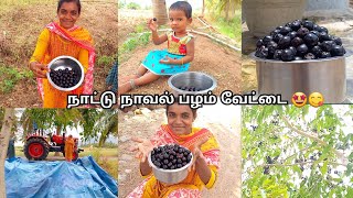 😋பிடித்த பழத்தை தேடி என் ஒருநாள் பயணம்🤩🥰🌱County naval fruitvillage life style vlognaturefruit [upl. by Orabel]