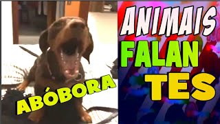 TOP 7 ANIMAIS FALANTES  DESAFIO TENTE NÃO RIR [upl. by Aeriell]