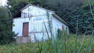 sítio abandonado com casa galpões e árvores frutíferas na encosta de um morro [upl. by Arinaid]