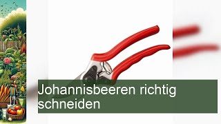 Johannisbeeren richtig schneiden [upl. by Leler]