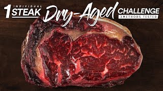 1 Single DRY AGE Steak CHALLENGE  Guga Foods [upl. by Kostival]