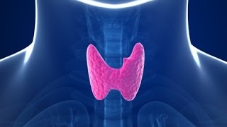 Tutorial de exploración en Ultrasonido de Tiroides [upl. by Nalorac]
