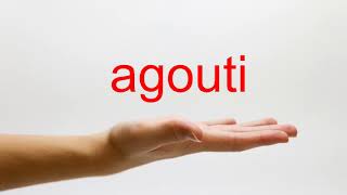 How to Pronounce agouti  American English [upl. by Jena685]