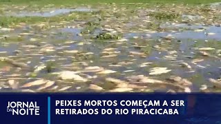 Peixes mortos no Rio Piracicaba usina é multada em R 18 milhões  Jornal da Noite [upl. by Yenitsed]