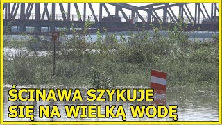 Ścinawa Bronią miasta przed wodą proszą o pomoc [upl. by Ecinerev836]