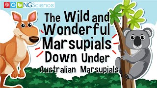 The Wild and Wonderful Marsupials Down Under – Australian Marsupials [upl. by Ralyt]