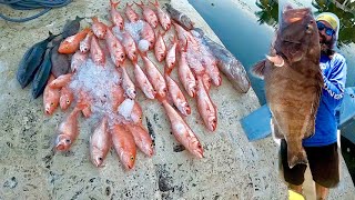 Deep Dropping in the BAHAMAS  Mystic Grouper Yelloweye  Queen Snapper Tuna [upl. by Uoliram]