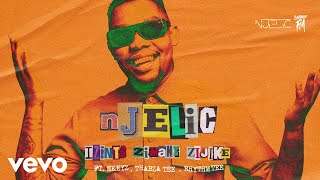 Njelic  Izinto Zimane Zijike Visualizer ft Mkeyz Thabza Tee Rhythm Tee [upl. by Nickles]