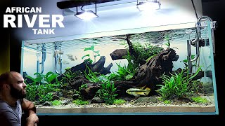 The African River Aquarium EPIC Aquascape Tutorial w Kribensis Cichlid amp Congo Tetra [upl. by Assyram708]