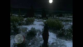 Red Dead Redemption treasure map locations 19 [upl. by Oj]