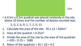 Quadrats Required practical  L4 [upl. by Ariuqahs]