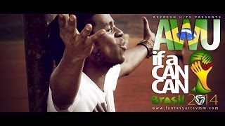 FIFA World Cup 2014 Theme Song  AWU  If a Can Can [upl. by Anialram731]