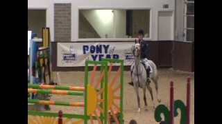 Showjumping  Pony of the Year 2013 [upl. by Antonio9]