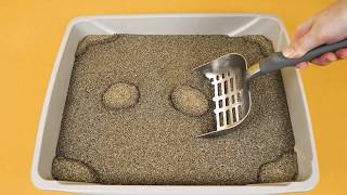 How to Use ARM amp HAMMER™ SLIDE™ Cat Litter [upl. by Nyladnewg]