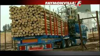 Faymonville  Timbermax [upl. by Spindell]