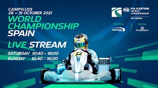 FIA Karting World Championship 2021 JUNIOROK Sunday [upl. by Couchman]